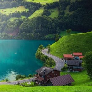 Meet your Posher, George